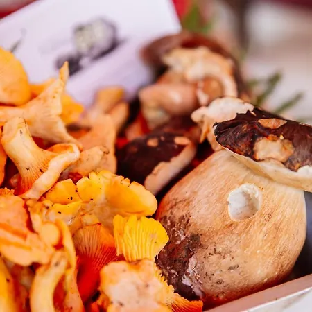 Lejlighed La Vie En Rose *