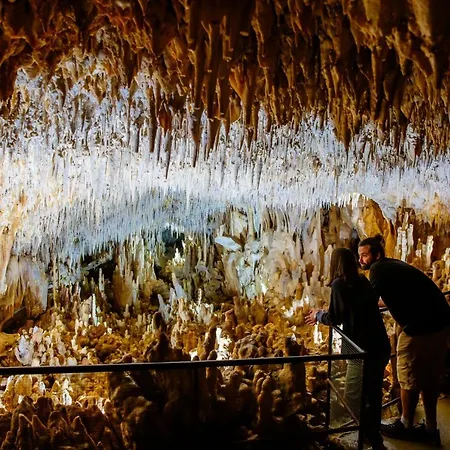 La Vie En Rose * Périgueux